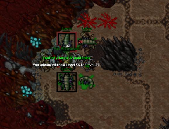 Torg Team Guardia-57.jpg