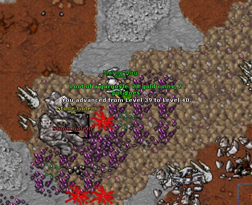 Torg Team Guardia-40.jpg