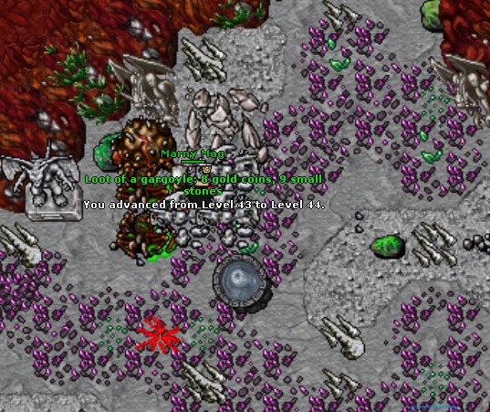 Torg Team Guardia-44.jpg