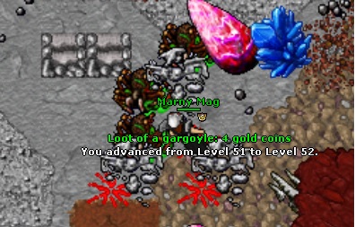 Torg Team Guardia-52.jpg