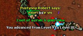 Torg Team Guardia-10-sorc.jpg