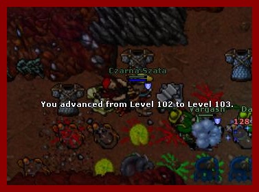 Nerana thread-tibia0261.jpg