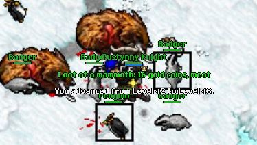 Torg Team Guardia-43.jpg