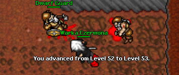 Medivia Legacy [7.4]. Oldschool pełną gębą!-1.png