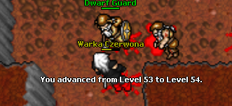 Medivia Legacy [7.4]. Oldschool pełną gębą!-2.png