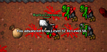 Medivia Legacy [7.4]. Oldschool pełną gębą!-2.png
