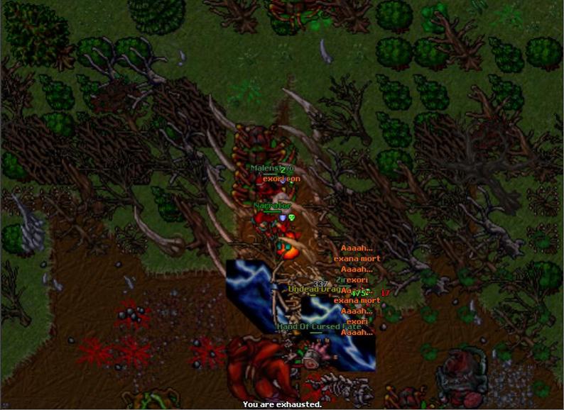 [8.6] Venuria.eu | 8.6 | Własna Mapa | Low exp |-4.jpg