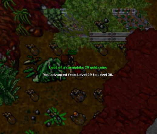 Antica Thread-30.jpg