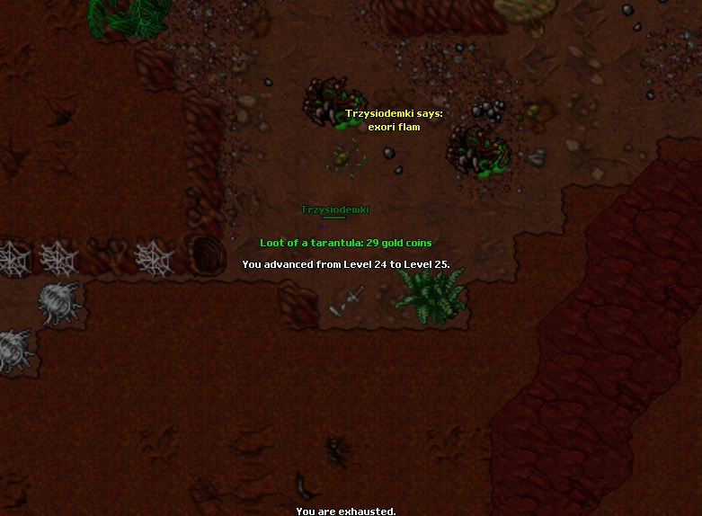 Antica Thread-antica.jpg