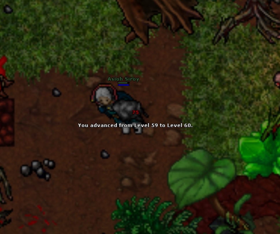 Antica Thread-60.jpg