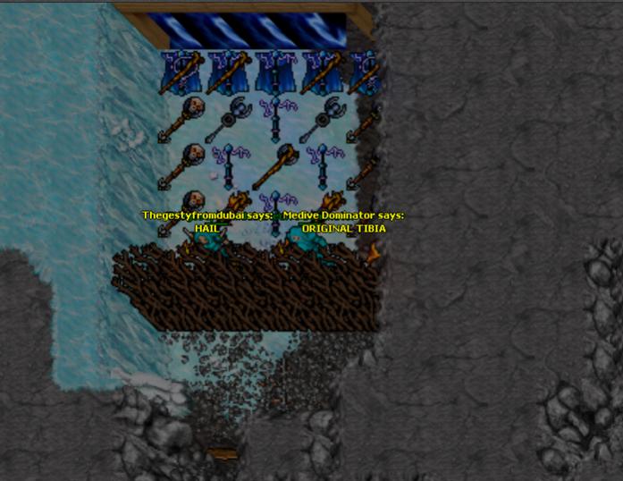 OriginalTibia 8.0-exp-photo.jpg