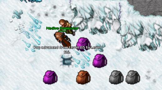 OriginalTibia 8.0-116-ori.jpg