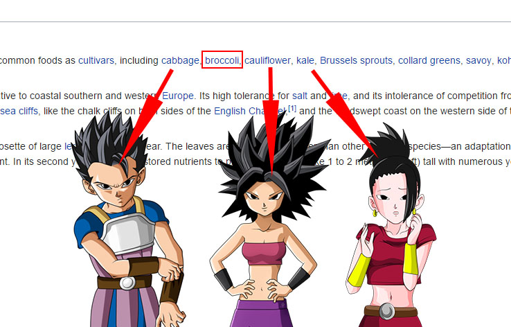 Dragon Ball Super-lelele.jpg