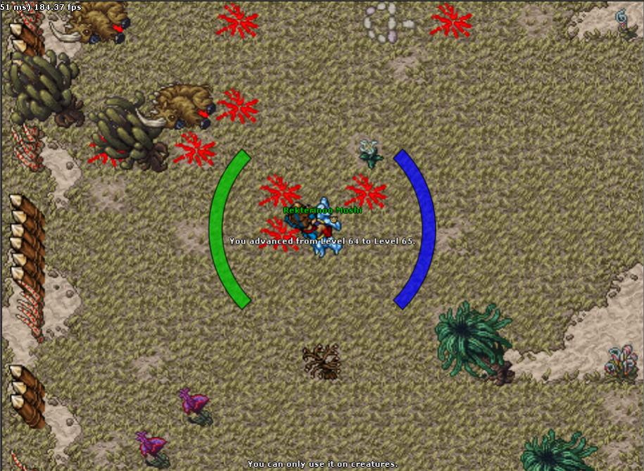 Bellona Thread-65.jpg