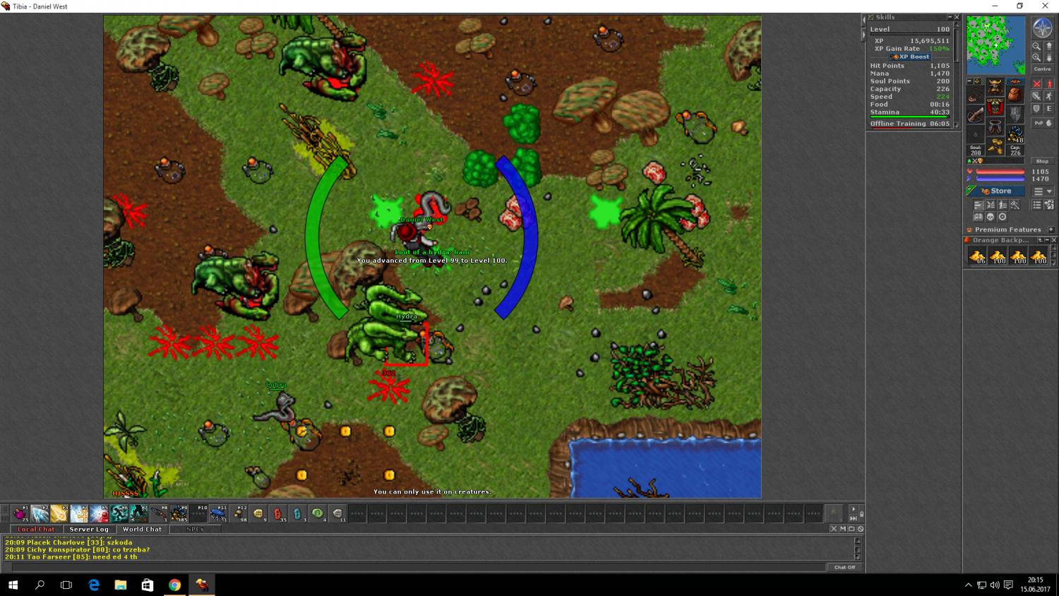 Vita Thread-tibialvl100.jpg