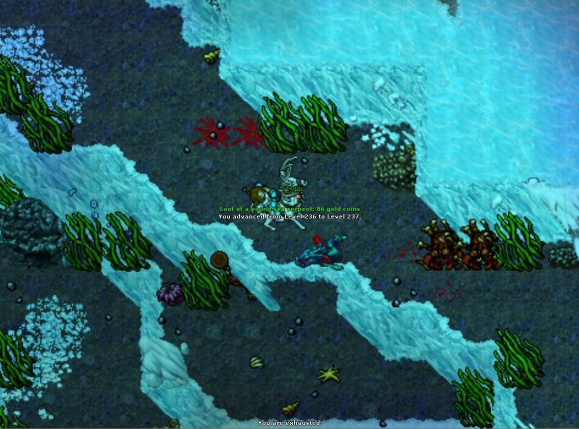 Refugia Thread-bez-tytulu.jpg