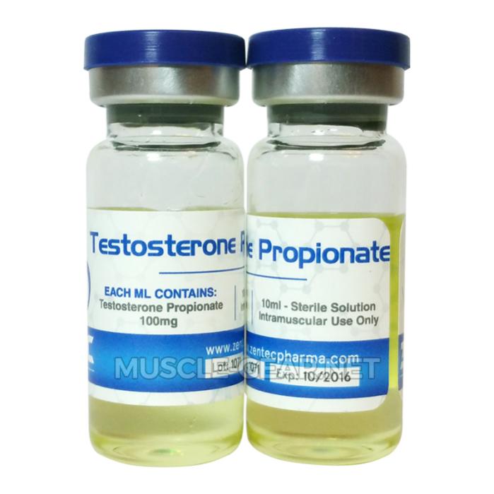 Diety a'la ryż z kurczakiem na milion sposobów.-testosterone_propionate_100mg_d.jpg