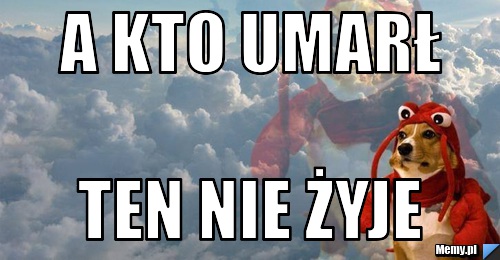 cytat na sciane-1.jpg