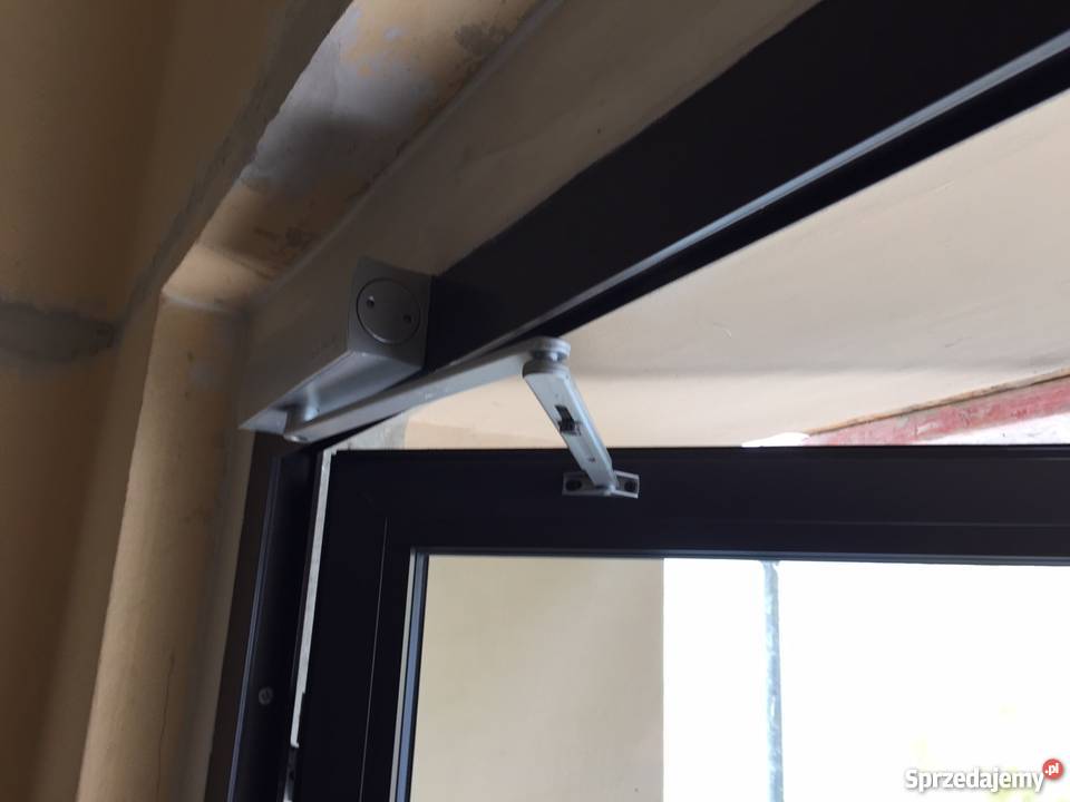 Drzwi dla psa-drzwi-aluminiowe-samozamykaczem-4-ostrow-wielkopolski-304977927.jpg