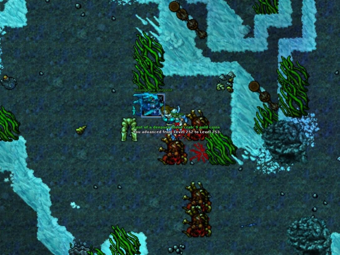 Refugia Thread-bez-tytulu.jpg