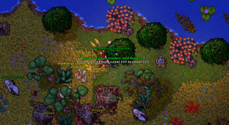 Refugia Thread-223t.jpg