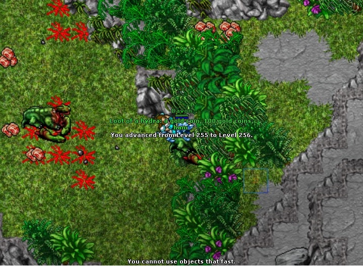 Refugia Thread-bez-tytulu.jpg
