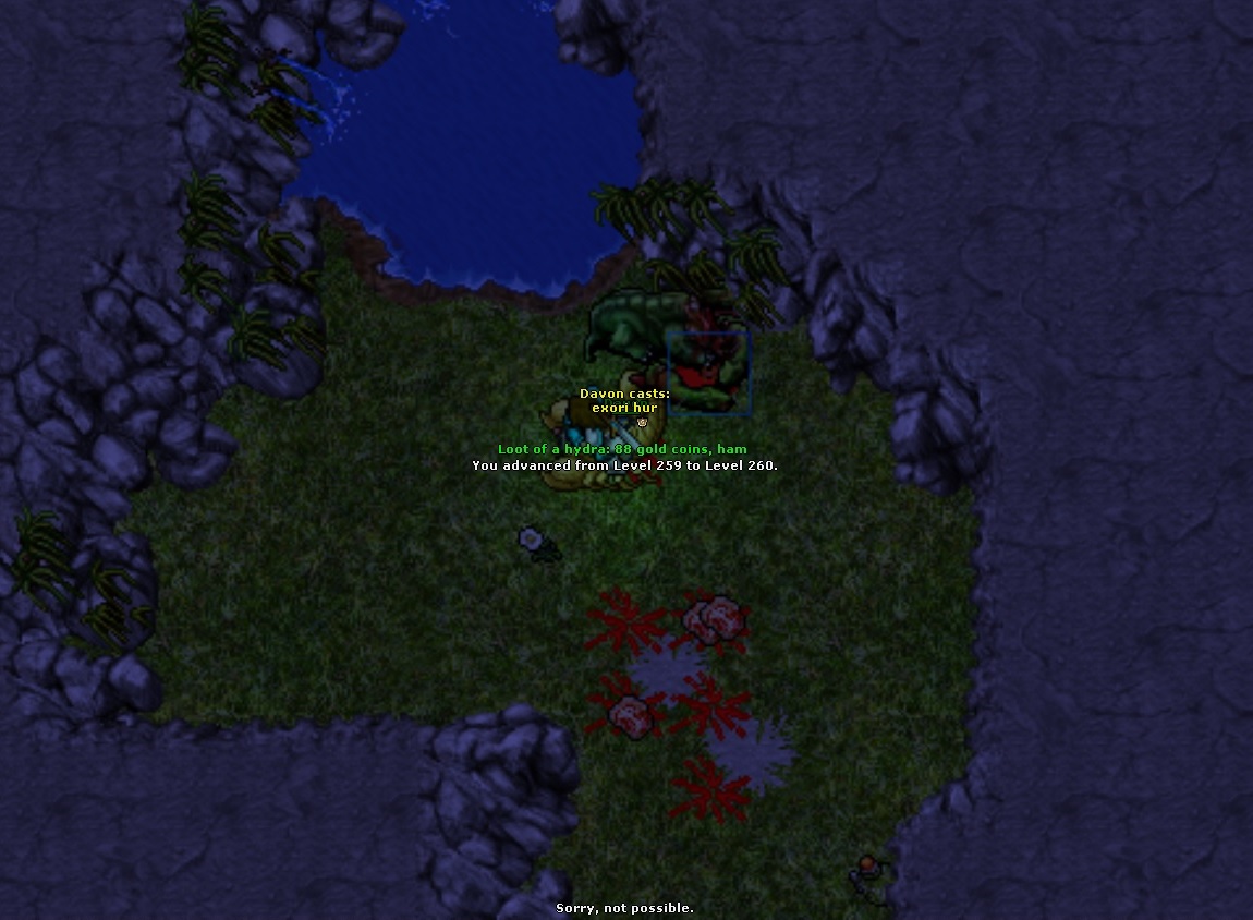 Refugia Thread-bez-tytulu.jpg