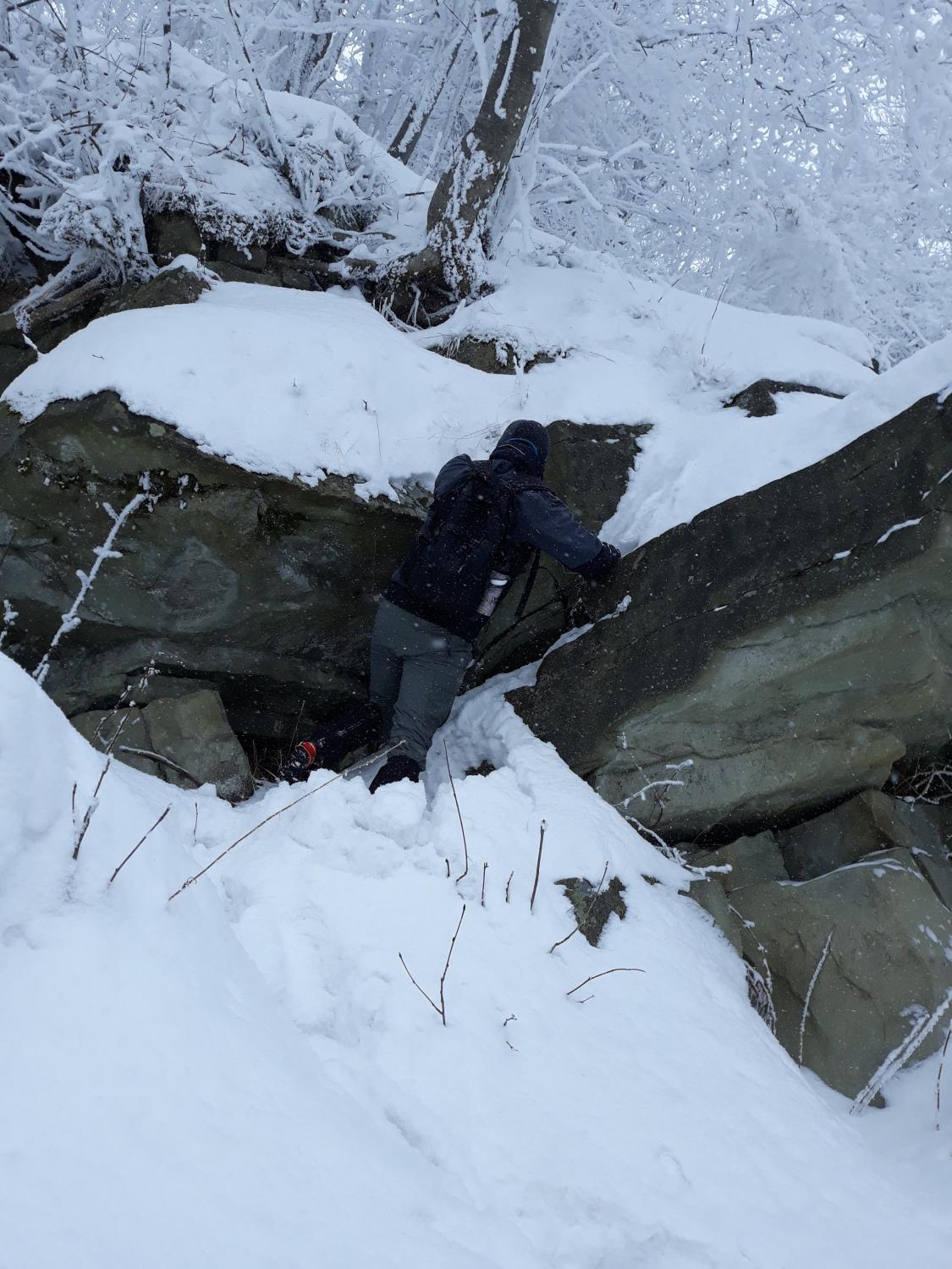Zagwozdka natury himalajskiej / pomysł na biznes / poszukiwany wspólnik-20180225_135619.jpg