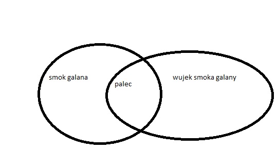 Trzy nieoczywiste pytania dla najtęższych umysłów Torga-dd.jpg