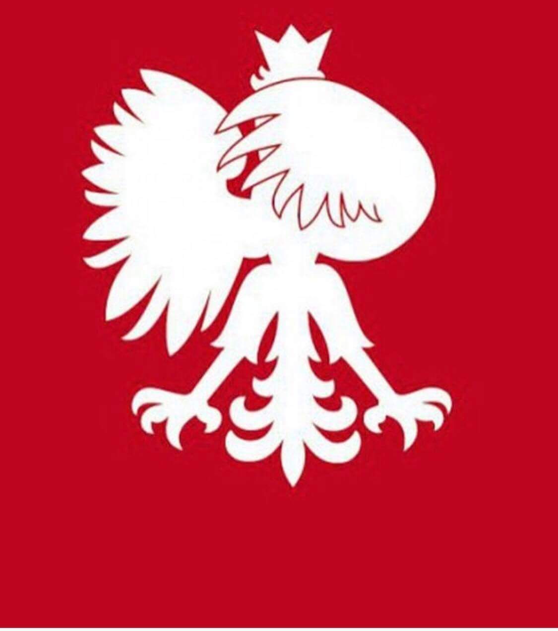 Mistrzostwa Świata w Piłce Nożnej 2018-received_1839119129464896.jpeg