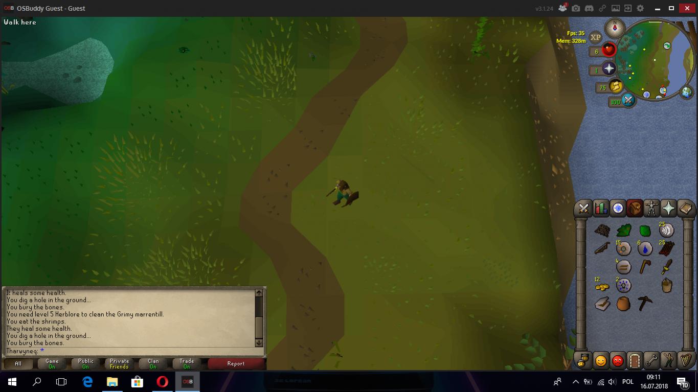 Oldschool Runescape-runo.jpg