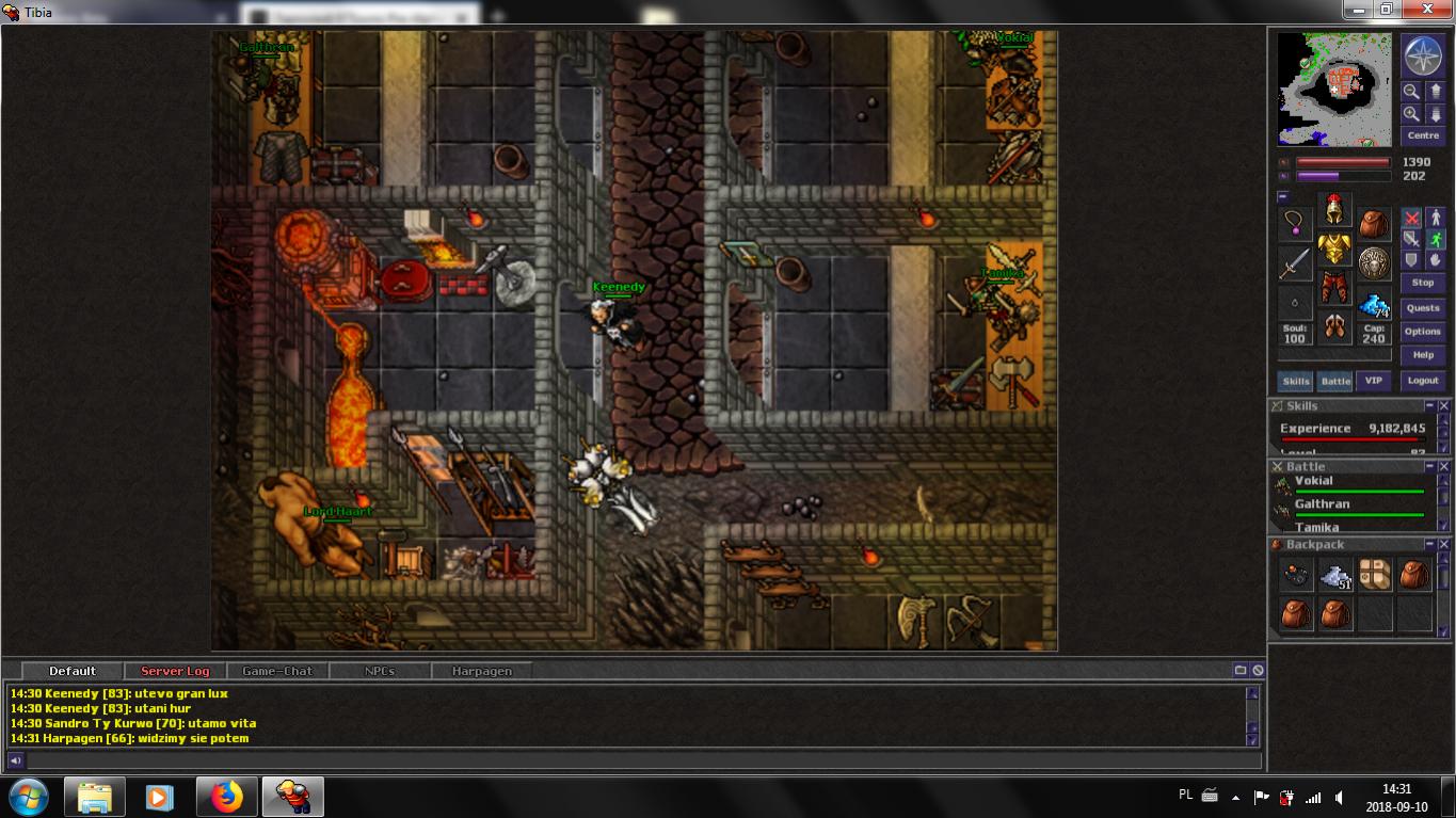 9 Towns Pre-Alpha Based on Heroes III Might and Magic!-npc.jpg