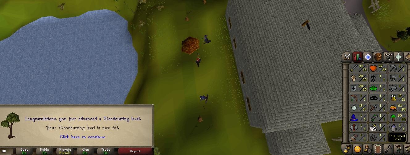 Oldschool Runescape-60wcrs.jpg