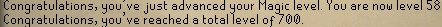 Oldschool Runescape-700skill.jpg