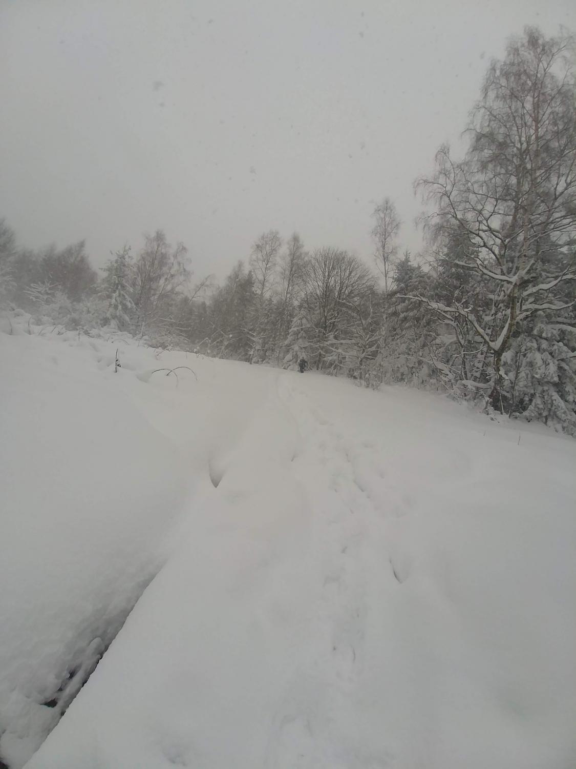 Góry-20190105_093618.jpg