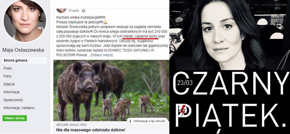Wiadomości z kraju i ze świata-49378844_2004287149662724_3853080547823714304_n.jpg