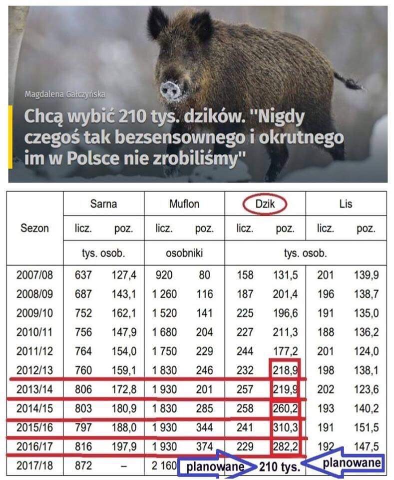 Wiadomości z kraju i ze świata-64235980-ffe5-4f36-a231-b21c73cb8ddb.jpeg