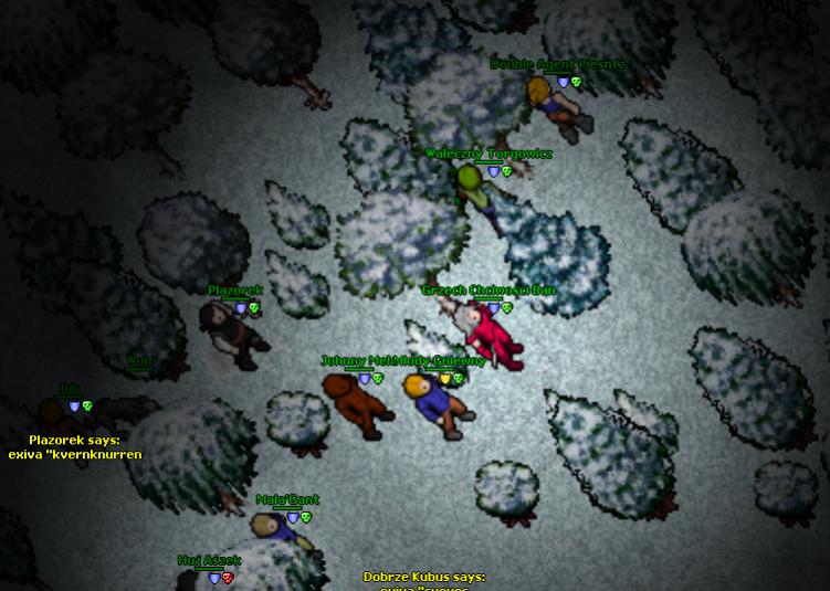 Medivia - Phophecy-1.jpg