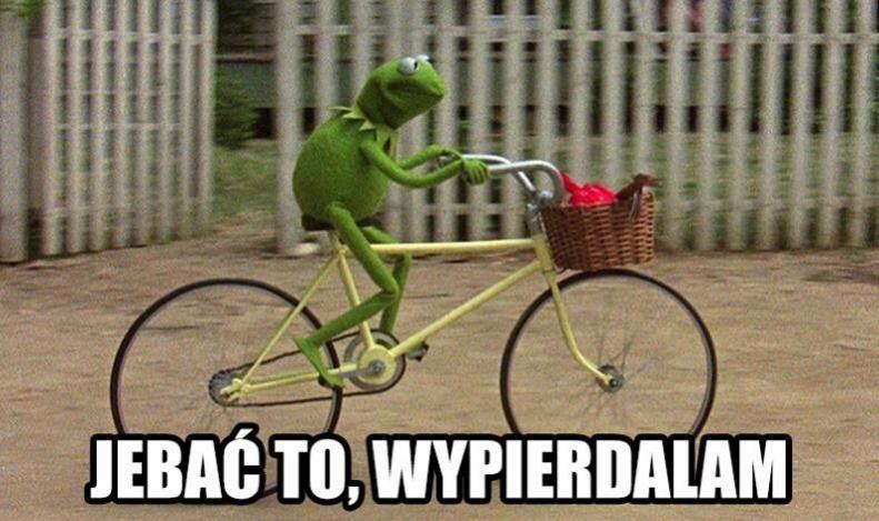 Patostreamerzy-kermit.jpg