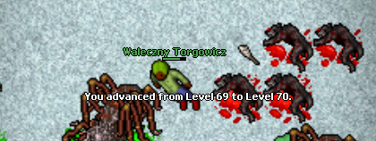 Medivia - Phophecy-70lvl.png