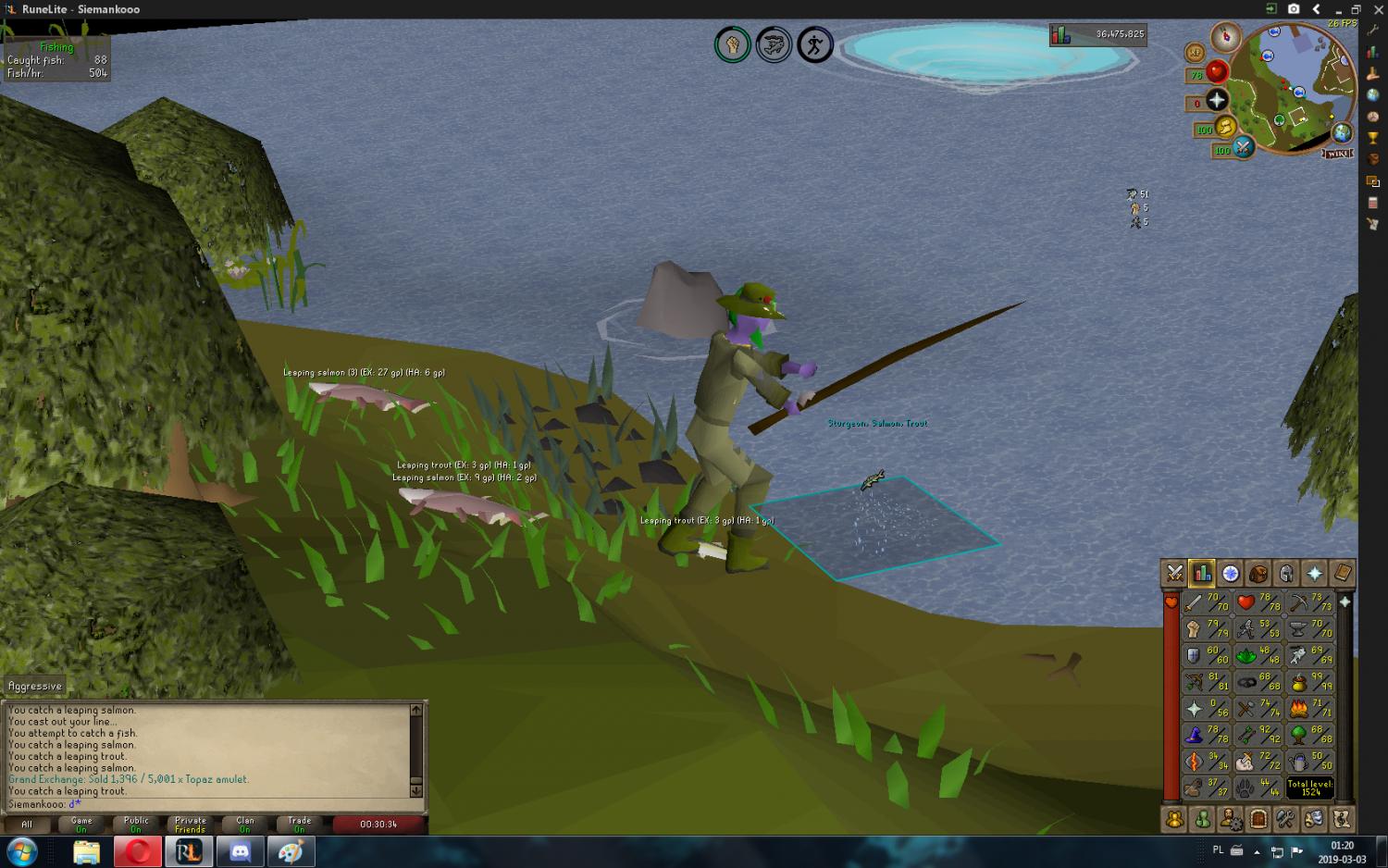 Oldschool Runescape-111111111111111111111.jpg