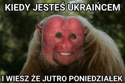 nowe emotki-comment_b65ivabkposjwqibf7vdriv3a83uu5xew400.jpg