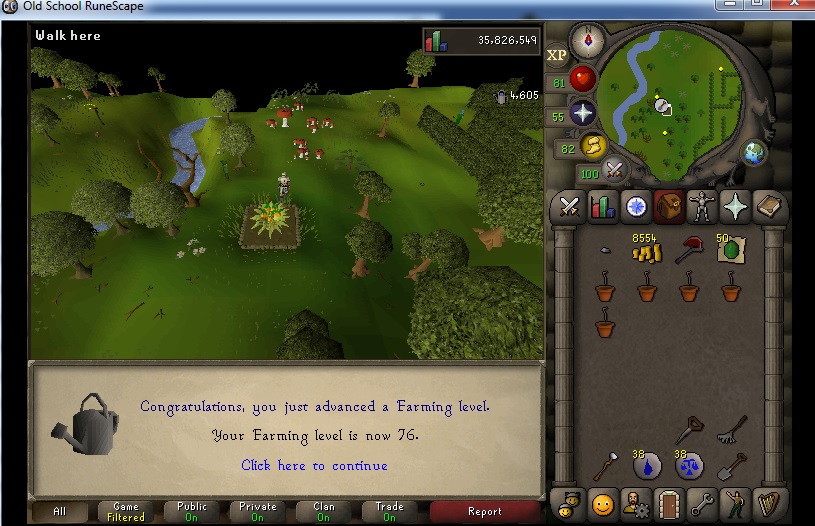 Oldschool Runescape-farrmin.jpg