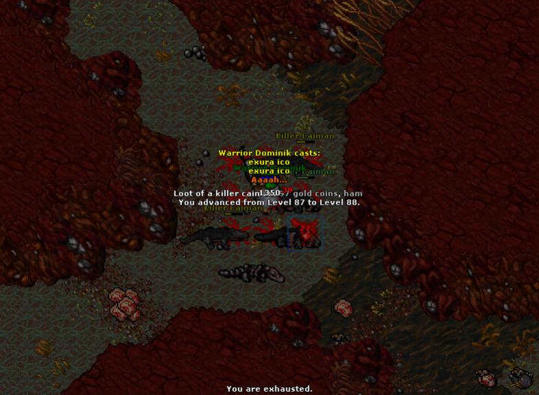 Refugia Thread-2019-06-05_223244936_warrior-dominik_levelup.jpg