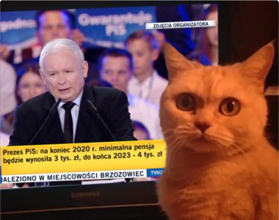 Wybory parlamentarne 2019-comment_w43izbsswpoq8olsjulde4gcgdsa7cqv-w400.jpg