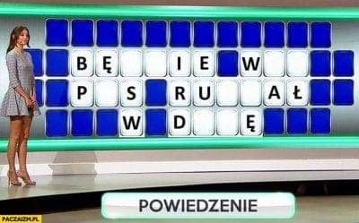 Wybory parlamentarne 2019-pisowiec.jpg