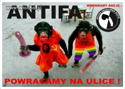 Wiadomości z kraju i ze świata-antifa.jpg