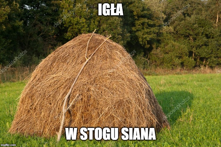 Fan Klub of Tibiantis-3kvumi.jpg