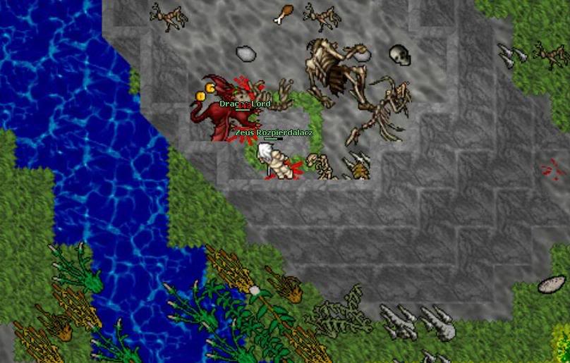 Tibia wiecznie żywa?-dl3.jpg