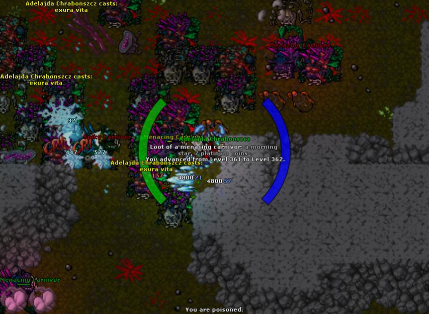 Antica Thread-2020-01-25_141338696_adelajda-chrabonszcz_levelup.jpg
